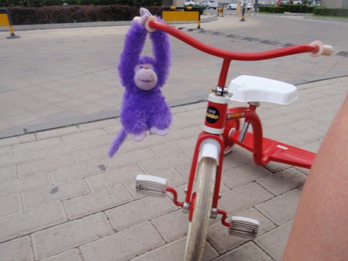 Og Monkey venter .... (Fotograf: Nori)
